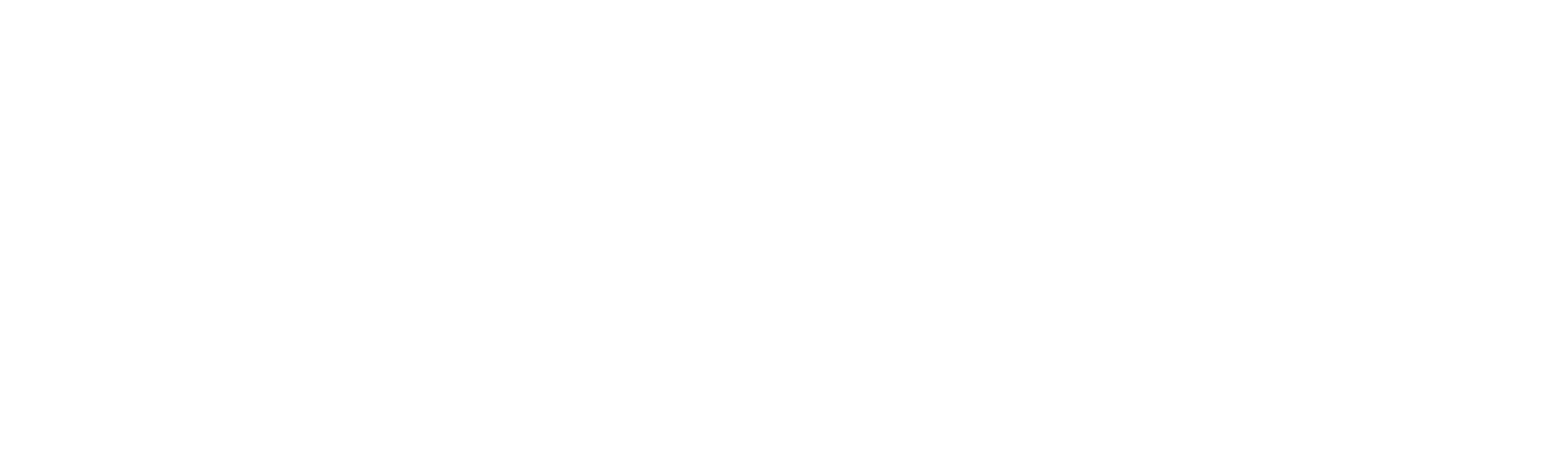 TrustLLM written in white